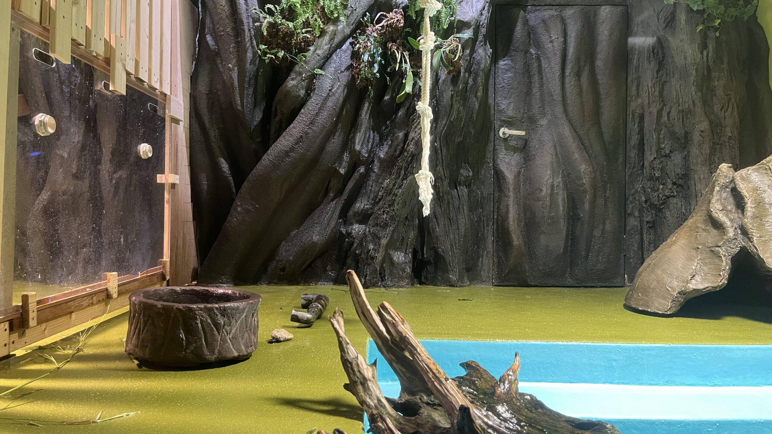 擬木を活用した動物園